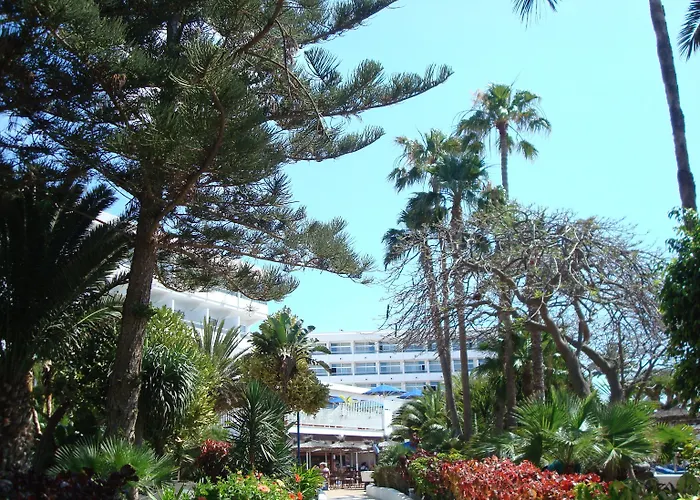 فندق Vik San Antonio 4*